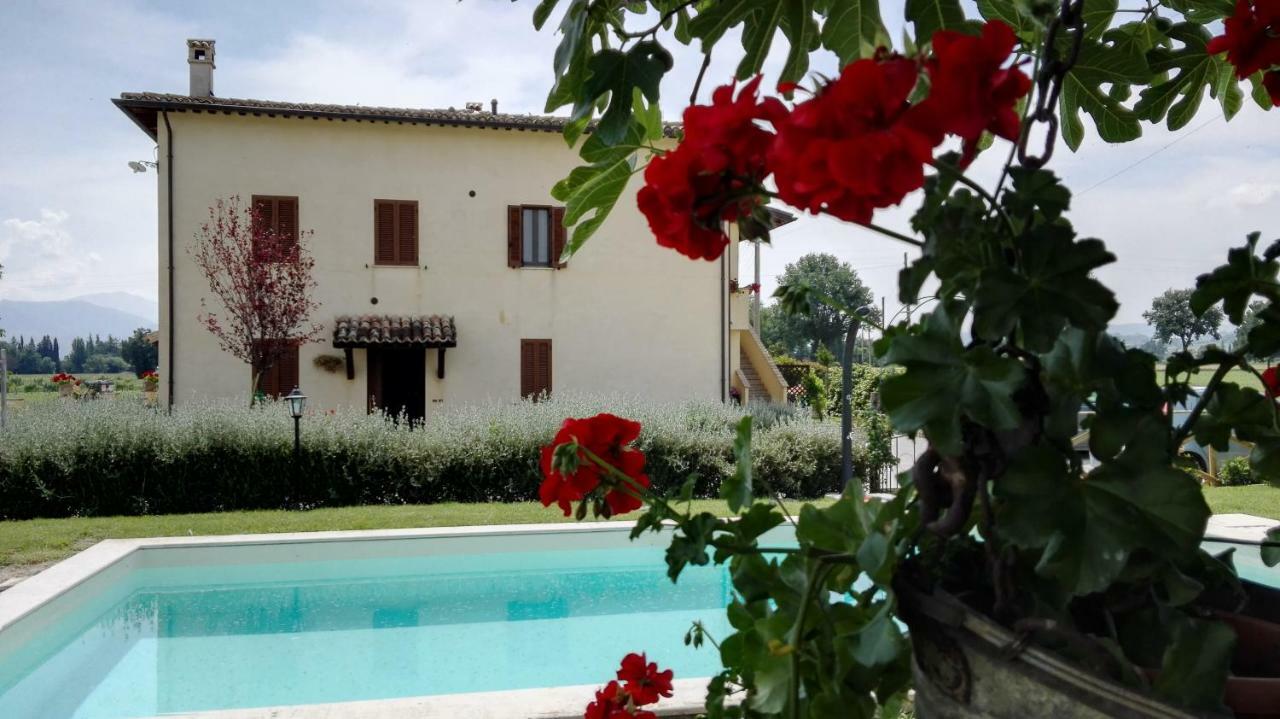 Casa Cardarella Guest House Beroide Eksteriør bilde